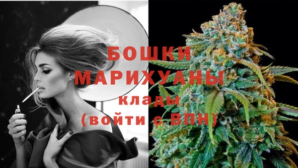 стаф Волоколамск