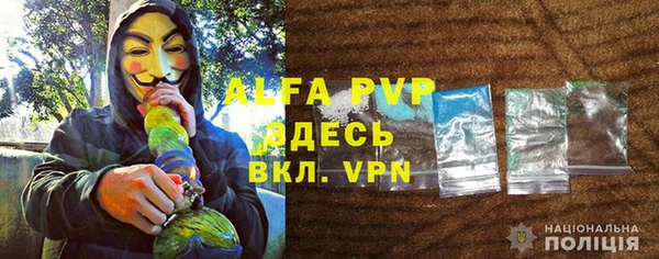 шишки Володарск