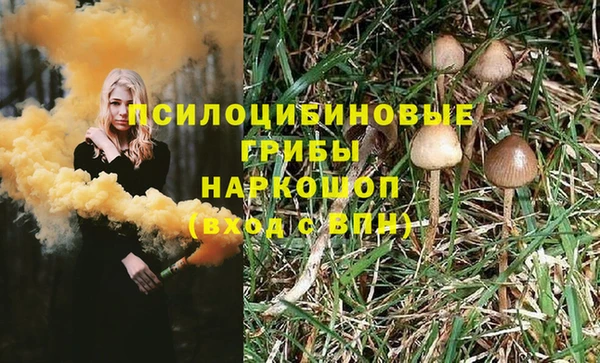 шишки Володарск