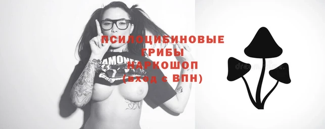 стаф Волоколамск