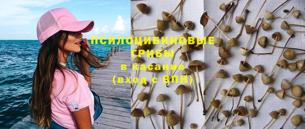 стаф Волоколамск