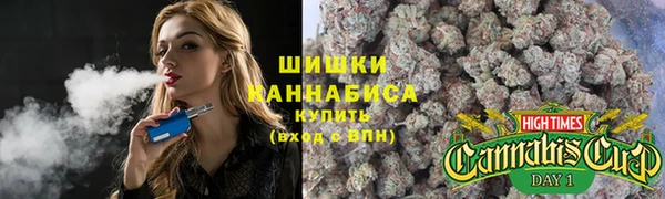 меф Вяземский