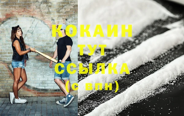 шишки Володарск