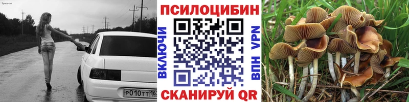 Купить закладки  Бор  Галлюциногенные грибы мицелий 