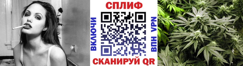 Купить  Бор  Марихуана OG Kush 